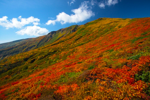 宮城栗駒山