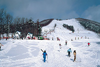 宮城藏王滑雪場