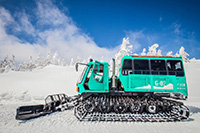 藏王樹冰雪上車