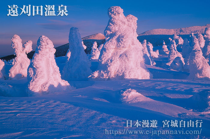 遠刈田溫泉樹冰