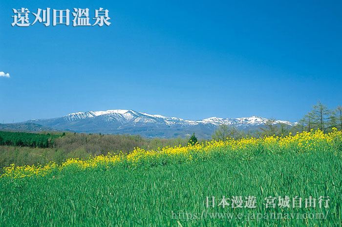 遠刈田溫泉一帶夏季風景