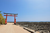 青島鬼洗濯板海岸