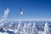 菅平高原滑雪場