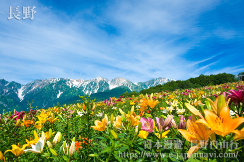 長野自然美景