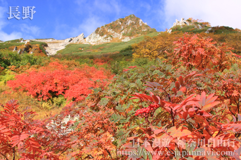 長野紅葉