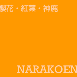 奈良公園 Narakoen