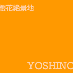 吉野 yoshino