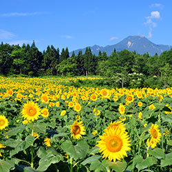 妙高高原