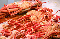 寺泊魚的市場街