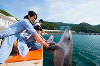 津久見海豚島