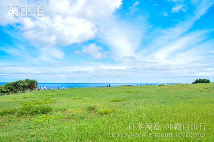 萬座毛海岸上寬闊的平台原野