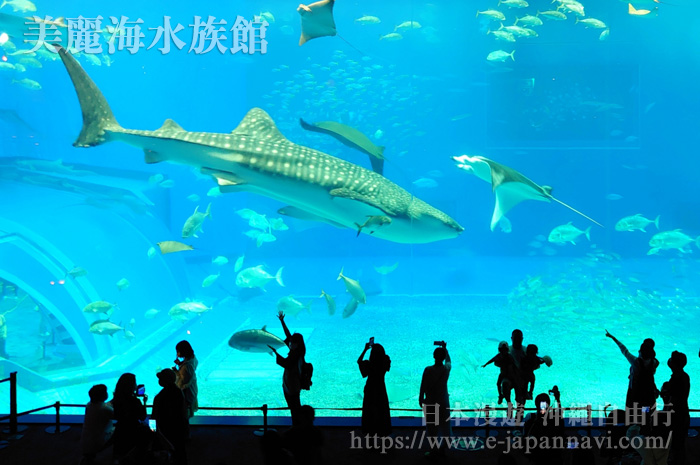 美麗海水族館