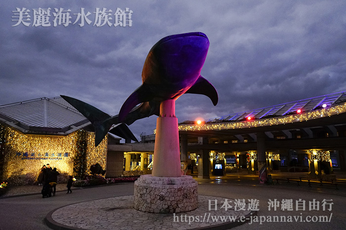 美麗海水族館夜景