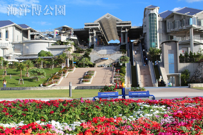 沖繩海洋博公園的美麗園景