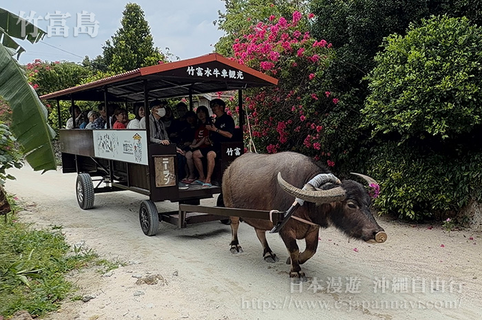 竹富島水牛車觀光