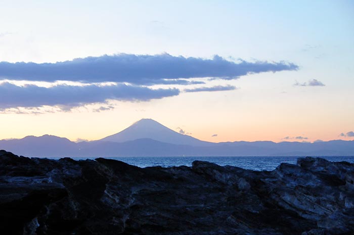 城島富士