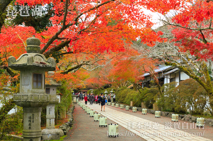 琵琶湖石山寺紅葉