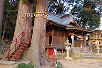 修善寺日枝神社