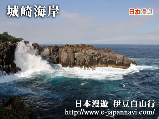 城崎 城崎海岸 城崎海岸吊橋 伊豆城崎海岸 伊豆海洋公園 伊豆半島導遊 伊豆旅遊景點 Jogasaki Izu Trip