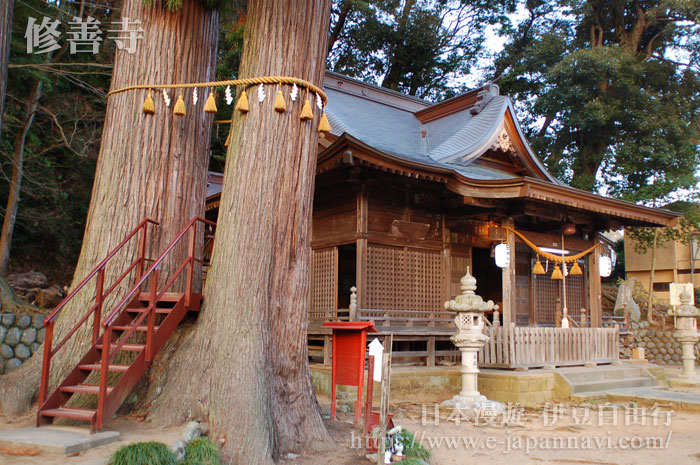 與修善寺同樣有名的日枝神社
