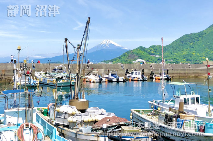 沼津港與富士山