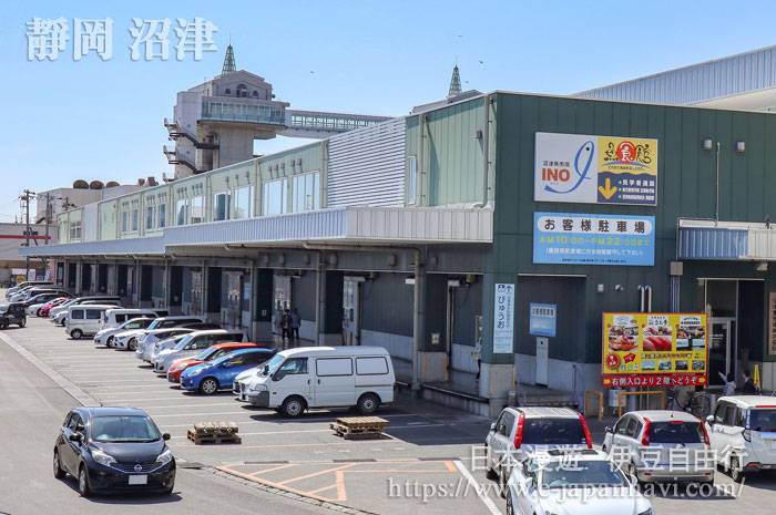 沼津魚市場INO