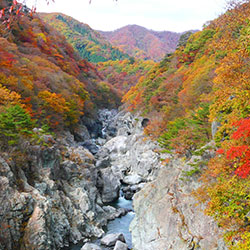 鬼怒川