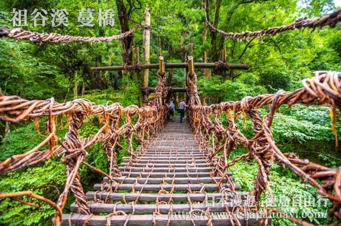 翻新後的祖谷蔓橋