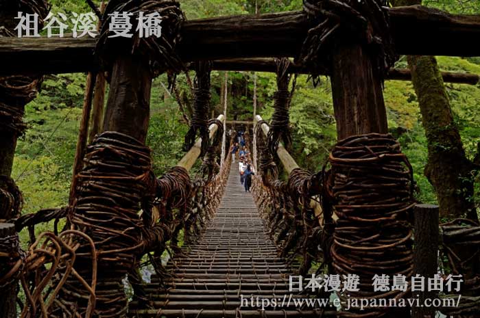 經年的祖谷蔓橋