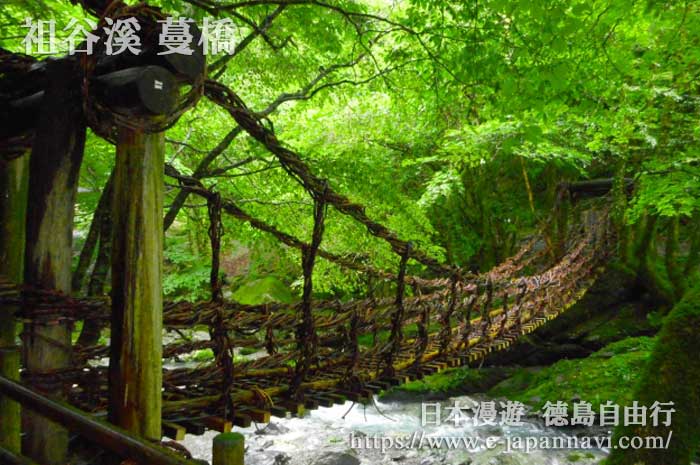 夏季蔓橋風景