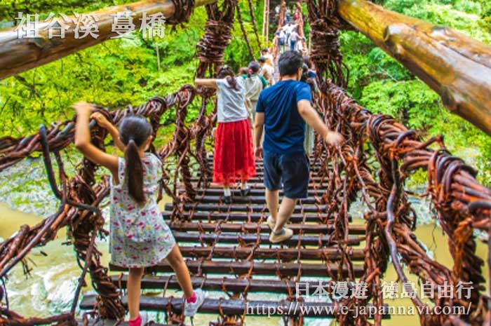 遊客小心翼翼地走過祖谷溪蔓橋