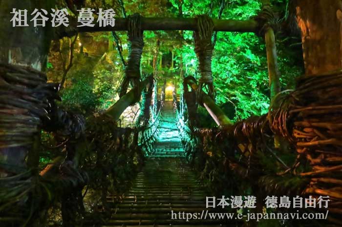 祖谷溪秘境蔓橋燈飾夜景