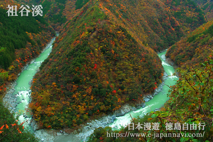 德島祖谷溪V字型溪谷紅葉秋景