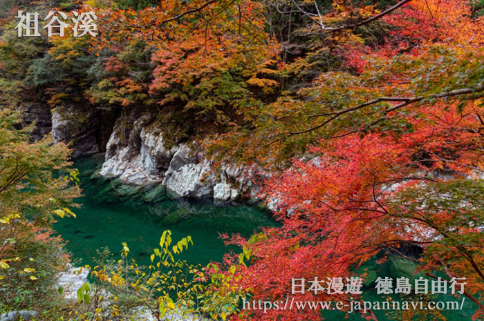 祖谷溪的紅葉美景