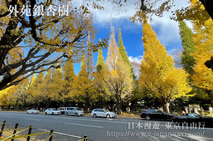 東京外苑前銀杏林蔭道