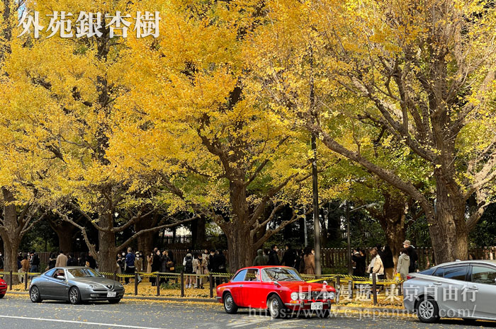 東京外苑前銀杏林蔭道
