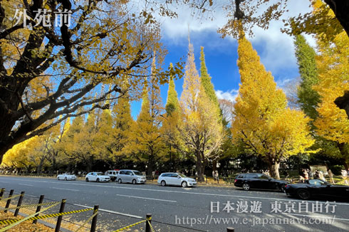 明治神宮外苑銀杏林蔭道