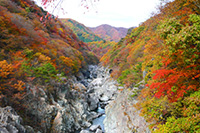 日光鬼怒川