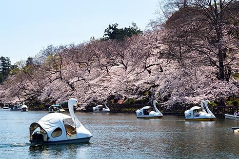 井之頭恩賜公園