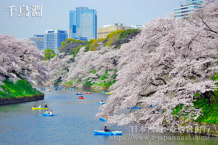 千鳥淵公園