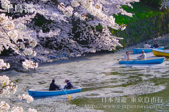 千鳥淵公園遊船