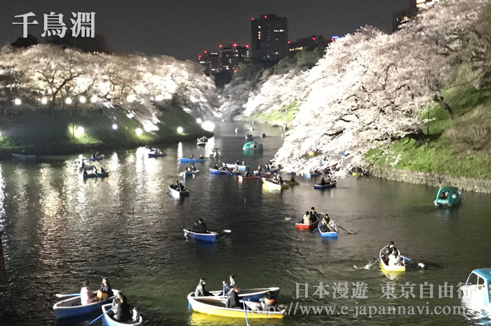 千鳥淵櫻花夜景