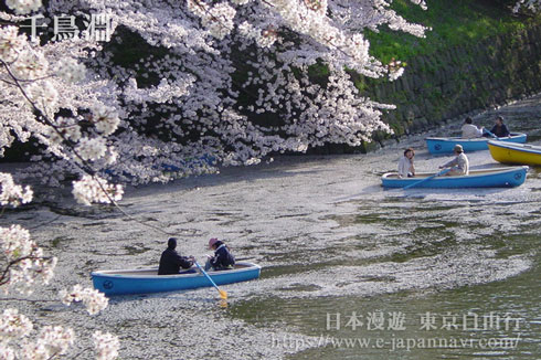 千鳥淵公園