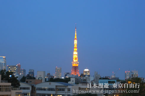 六本木東京塔夜景