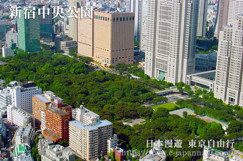 新宿中央公園