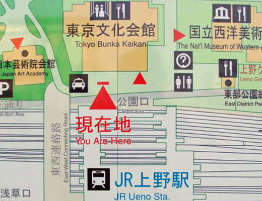 東京文化會館
