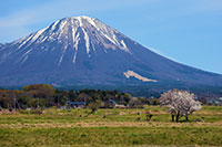 大山