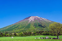 大山まきばみるくの里