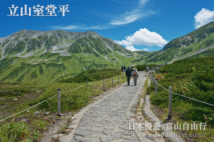 室堂平夏景