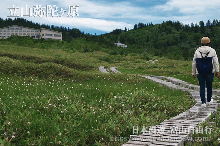 立山彌陀原風景